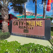 фото из отзыва ID 2733949