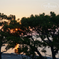 фото из отзыва ID 2733958