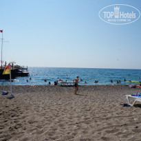 фото из отзыва ID 2733958