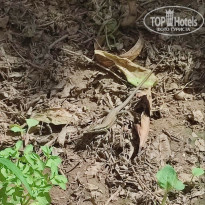 фото из отзыва ID 2733968