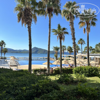 фото из отзыва ID 2733980