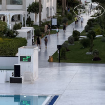 фото из отзыва ID 2733976