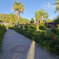 фото из отзыва ID 2733981