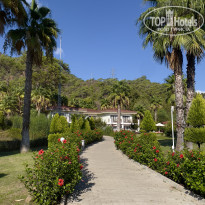 фото из отзыва ID 2733982