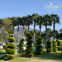 фото из отзыва ID 2733982