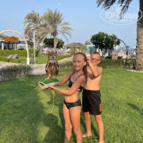 фото из отзыва ID 2733986