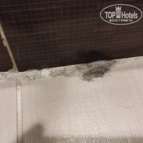 фото из отзыва ID 2733983