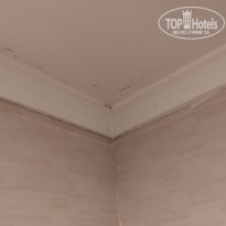 фото из отзыва ID 2733983