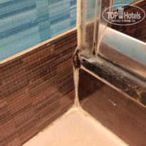 фото из отзыва ID 2733983