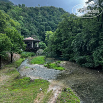 фото из отзыва ID 2733997