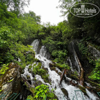 фото из отзыва ID 2733997