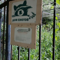 фото из отзыва ID 2734006