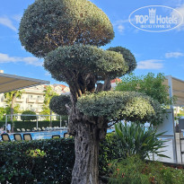 фото из отзыва ID 2734008