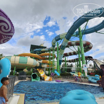 фото из отзыва ID 2734008