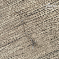 фото из отзыва ID 2734008