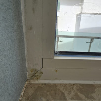 фото из отзыва ID 2734008