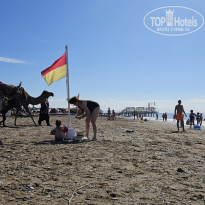 фото из отзыва ID 2734008