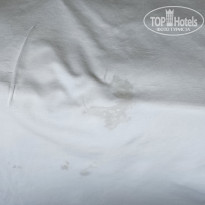 фото из отзыва ID 2734008