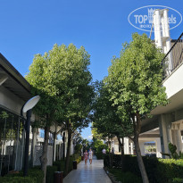 фото из отзыва ID 2734008