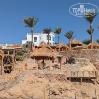 фото из отзыва ID 2734020