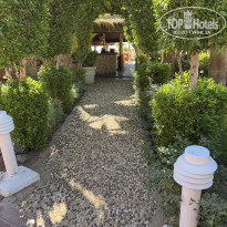 фото из отзыва ID 2734019