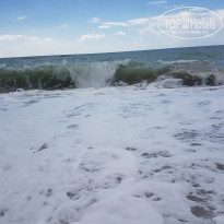 фото из отзыва ID 2734031