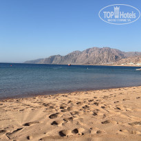 фото из отзыва ID 2734019