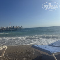 фото из отзыва ID 2734037