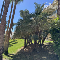 фото из отзыва ID 2734043