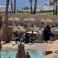 фото из отзыва ID 2734043