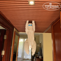 фото из отзыва ID 2734043