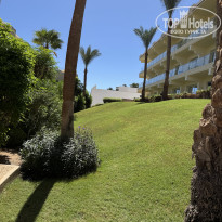 фото из отзыва ID 2734043