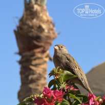 фото из отзыва ID 2734043