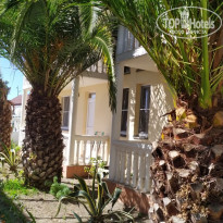 фото из отзыва ID 2734046