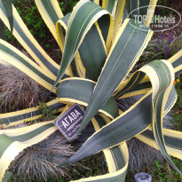 фото из отзыва ID 2734046