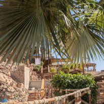 фото из отзыва ID 2734020