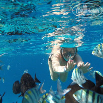 фото из отзыва ID 2733960