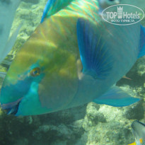 фото из отзыва ID 2733960