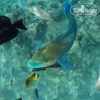 фото из отзыва ID 2733960