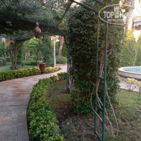 фото из отзыва ID 2734058