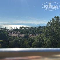 фото из отзыва ID 2734077