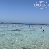 фото из отзыва ID 2734082