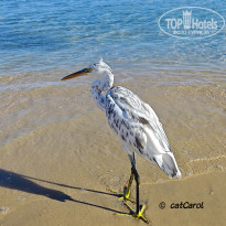 фото из отзыва ID 2734056