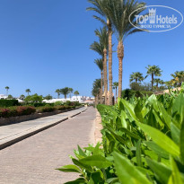 фото из отзыва ID 2734120