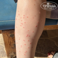 фото из отзыва ID 2734221