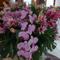 фото из отзыва ID 2734001