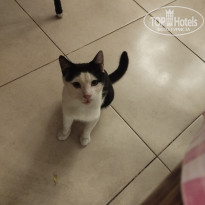 фото из отзыва ID 2734253