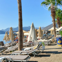 фото из отзыва ID 2734335