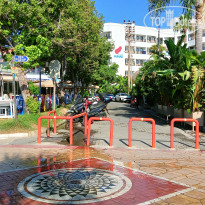 фото из отзыва ID 2734335