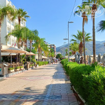 фото из отзыва ID 2734335